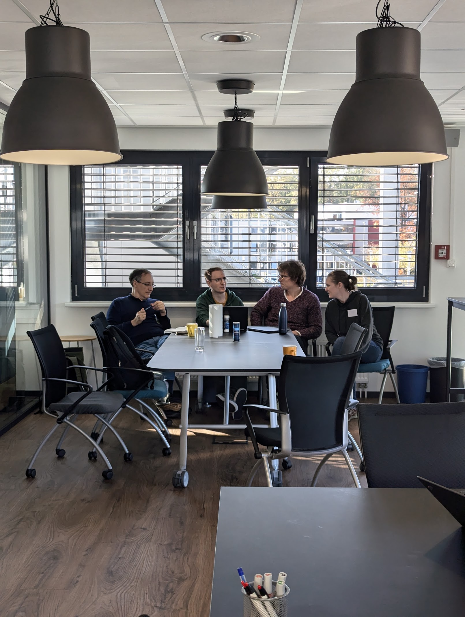 We are iBOTS: iBehave Open Technology Support